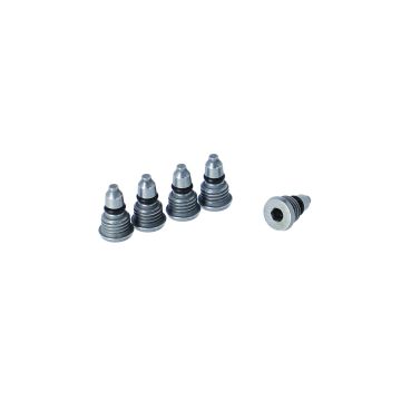 CAMPAGNOLO VITE DI SPURGO ERGOPOWER (5 PZ)