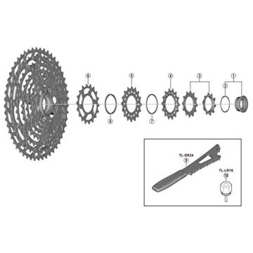 SHIMANO PIGNONE 14D. CS-M8100